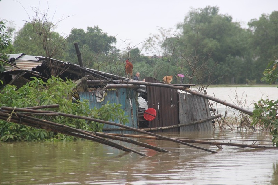 Nước lũ bủa vây, thuyền vẫn chạy đầy... đường - 6 Theo người dân địa phương, so với năm 1999 thì đợt lũ lần này nhẹ hơn. Hiện công tác khắc phục sau lũ, dọn dẹp môi trường đang được tiến hành