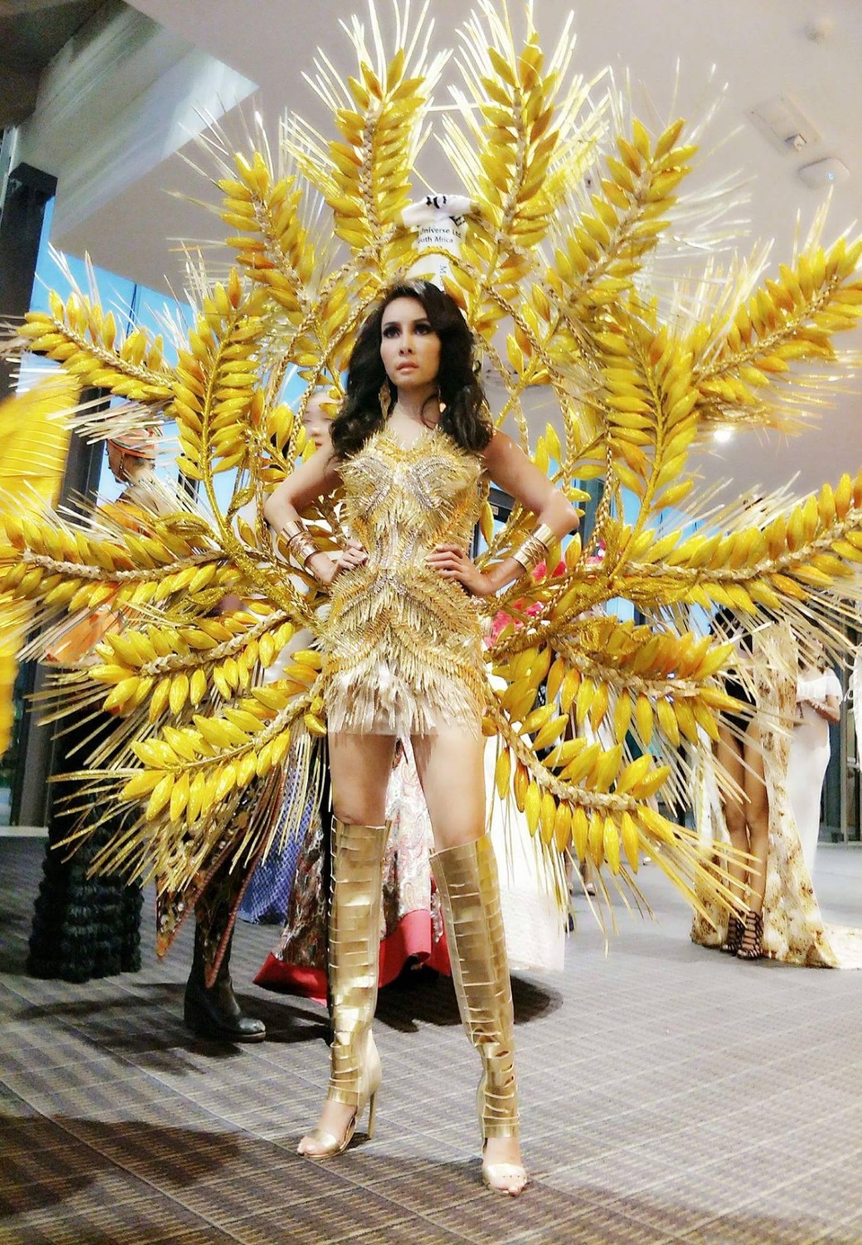 Người đẹp gốc Việt đăng quang Hoa hậu quý bà Hoàn vũ thế giới 2017 - 4 Người đẹp gốc Việt đăng quang Hoa hậu quý bà Hoàn vũ thế giới 2017 - 4
