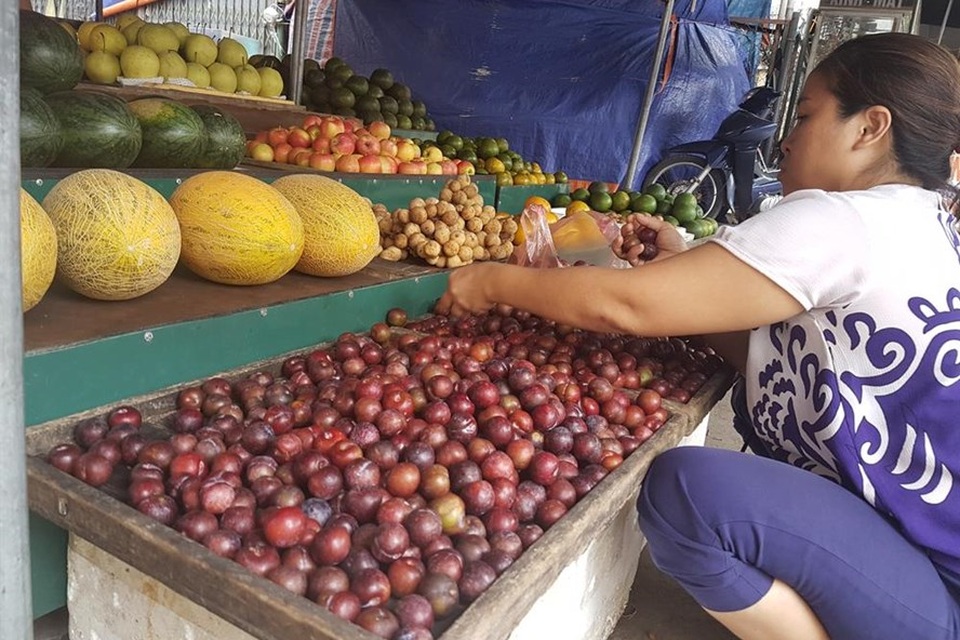 “Trố mắt” nhìn mận lạ đội lốt "mận Sapa" nhan nhản trên thị trường - 1
Mận Trung Quốc được giới thiệu là mận Sapa (Lào Cai) được bán tại chợ Đồng Xa (Cầu Giấy - Hà Nội)
