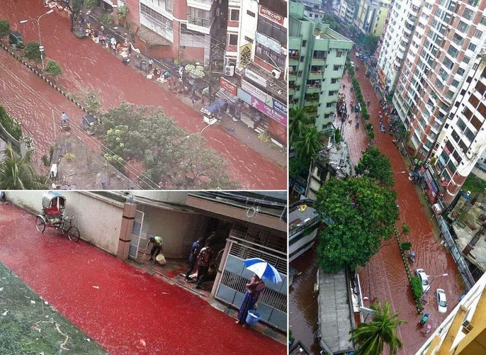 Giật mình nhìn “dòng sông nhuộm máu” trên phố - 2 Hình ảnh đường phố Dhaka ngập máu hòa lẫn nước mưa