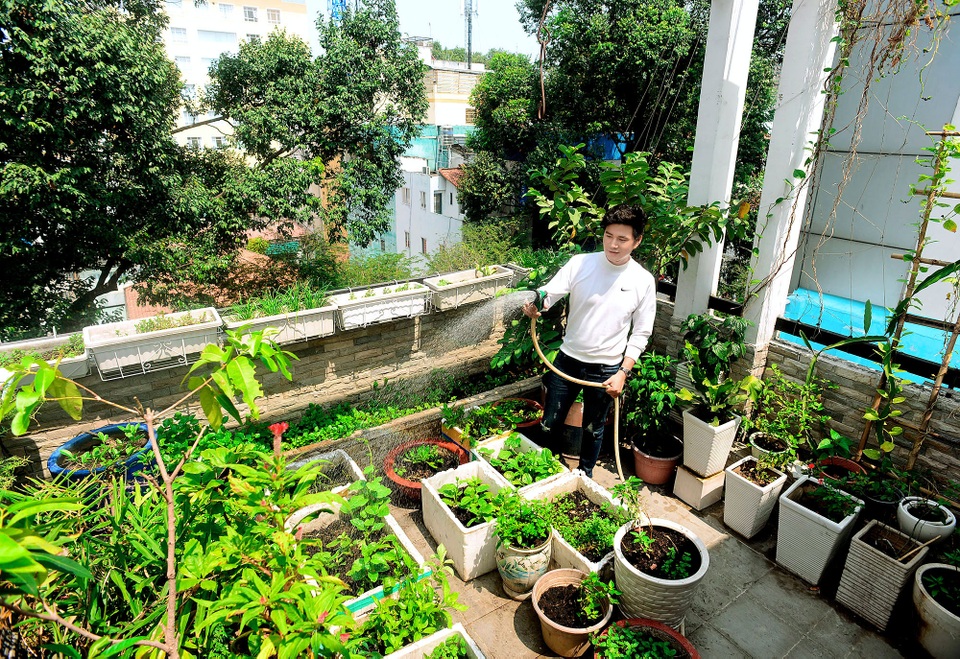 Một không gian khác được MC Vũ Mạnh Cường khá ưu ái là vườn rau sạch trên sân thượng