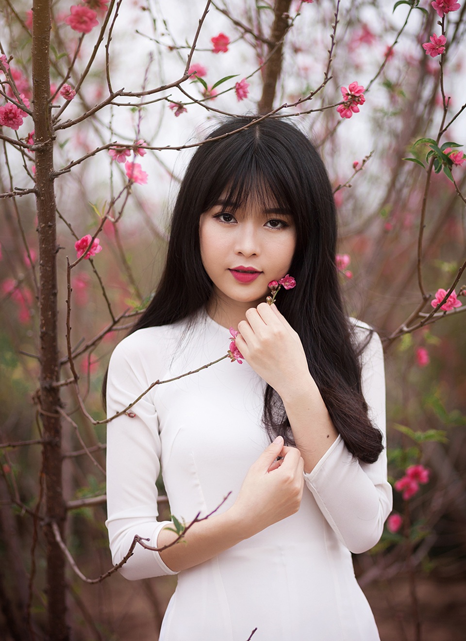 Nữ sinh Bưu chính làm duyên với hoa đào Nhật Tân - 2 Cô sinh viên ngành An toàn Thông tin chọn cho mình tà áo dài trắng để làm duyên bên những cành đào đang hé nở. Bộ ảnh được thực hiện bởi nhiếp ảnh gia Tú Bếu.