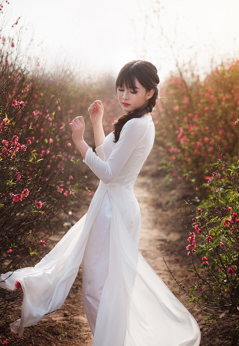 Nữ sinh Bưu chính làm duyên với hoa đào Nhật Tân - 5 Nữ sinh Bưu chính làm duyên với hoa đào Nhật Tân - 5