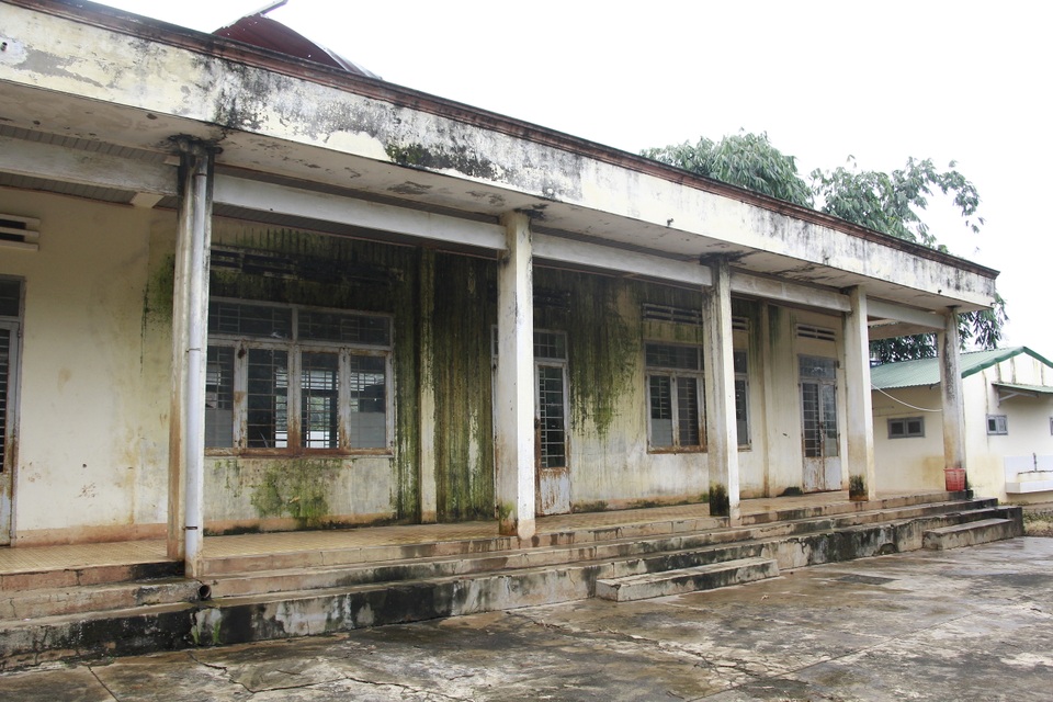 Các phòng học phủ rêu xanh, xuống cấp