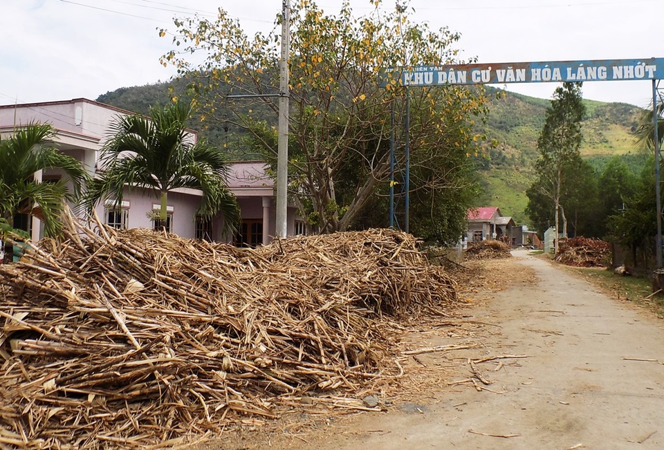 Dân điêu đứng vì mía sắp thành củi sau sự cố nhà máy đường - 2 Tại huyện Diên Khánh (Khánh Hòa) cũng tồn một lượng lớn mía, đã thu hoạch 10 ngày nay. Theo Hội Nông dân xã Diên Tân (huyện Diên Khánh, Khánh Hòa), toàn xã có trên 100 tấn mía bị ứ đọng nhưng chưa thấy nhà máy đến thu mua cho dân. Do đó hiện địa phương đã làm báo cáo kiến nghị lên huyện Diên Khánh đề nghị can thiệp giải quyết trước mắt lượng mía ứ đọng