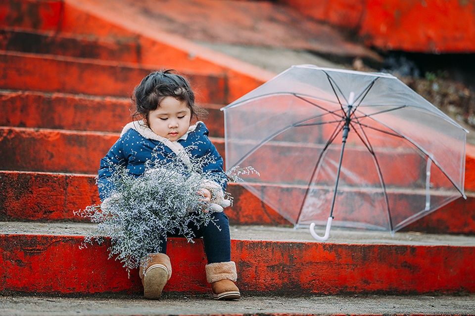 "Tiểu thư" Mimi 2 tuổi xinh như thiên thần ở Đà Lạt - 15 "Tiểu thư" Mimi 2 tuổi xinh như thiên thần ở Đà Lạt - 15