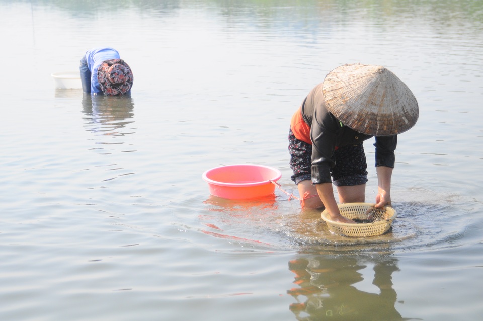Người dân vùng cao cũng quay quắt trong nắng nóng kỷ lục - 1
Giữa trưa nắng, người dân xuống sông suối mò trai hến cải thiện bữa ăn hoặc mang ra chợ bán.