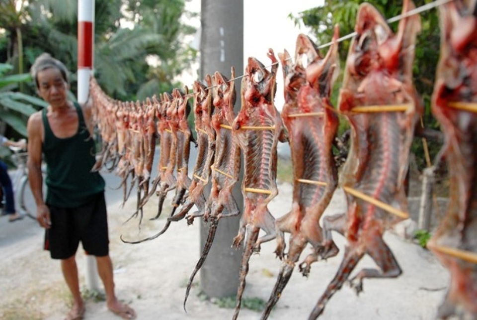 6 món ăn kinh dị miền Tây nhưng “hái” ra tiền - 3 Tắc kè, thằn lằn sau khi bắt sống sẽ được đem phơi khô.