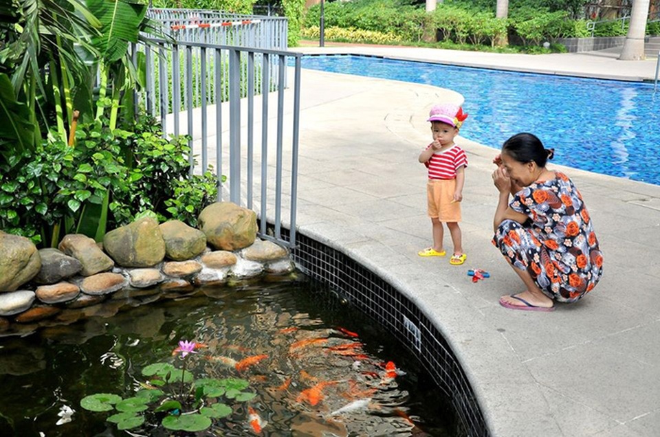 Mulberry Lane - Liên tục nâng cấp dịch vụ sau bàn giao - 2 Hồ cá cảnh trong khuôn viên dự án là điểm đến ưa thích của nhiều trẻ nhỏ để khám phá thiên nhiên