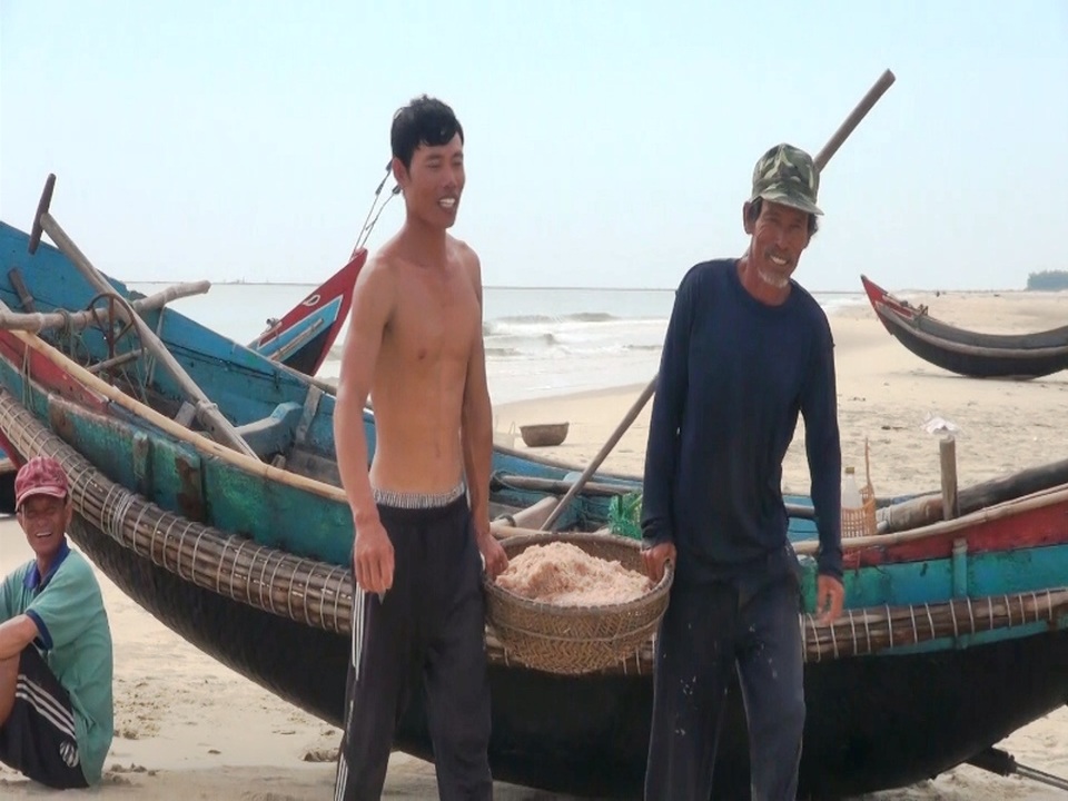 Ngư dân vùng biển bãi ngang phấn khởi vì bội thu ruốc biển - 1 Ngư dân phấn khởi vì bội thu ruốc biển