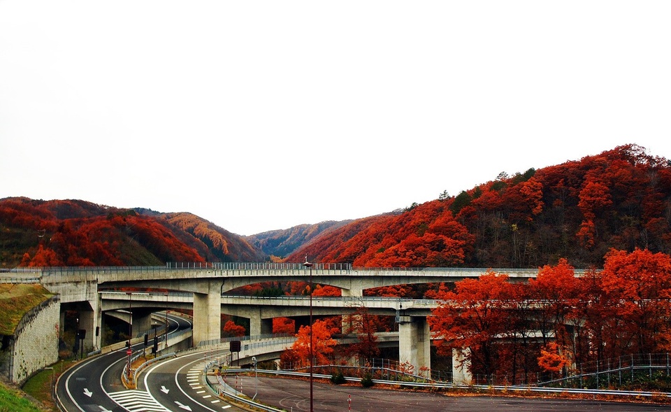 Cung đường cao tốc đi Osaka được khoác lên những tấm thảm lá vàng, đỏ của mùa thu bỗng trở nên đẹp lạ lùng.