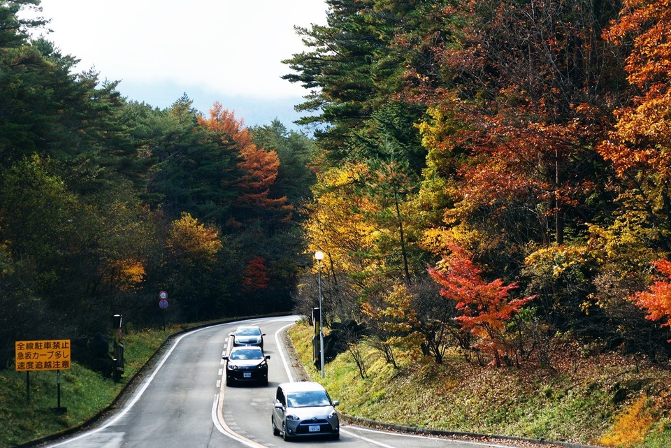 Được thả mình trên cung đường lên núi Phú Sĩ vào mùa thu, du khách sẽ được chiêm ngưỡng sự chuyển mình kỳ diệu của thiên nhiên mùa thu Nhật bản từ những tán lá xanh chuyển sang màu vàng, rồi thắm sắc đỏ.