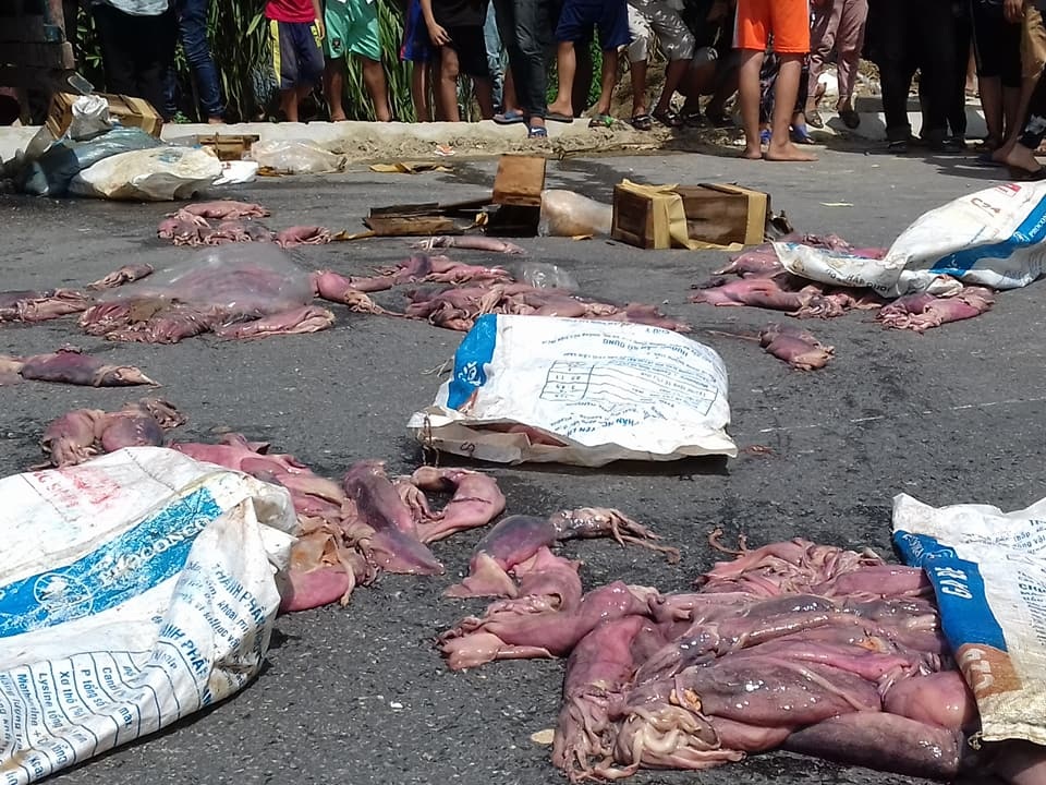 Hàng chục người dân vây bắt xe chở thực phẩm hôi thối - 2