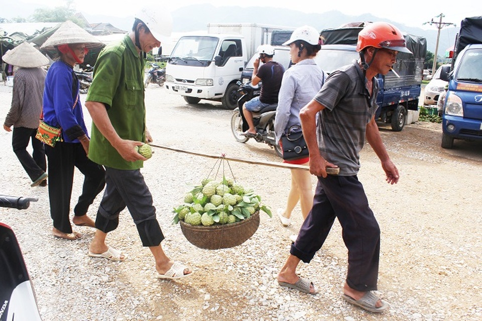Cận cảnh chợ na lớn nhất miền Bắc ở Lạng Sơn - 2
Người thì gánh, người thì khiêng na ra khu chợ tạm rộng gần 1ha để bày bán