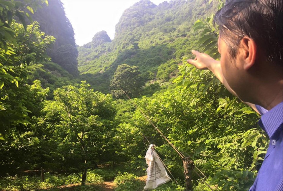 Gieo vàng trên núi - 1
“Mỏ vàng” của người Chi Lăng trên dãy Kai Kinh hùng vĩ. Ảnh: Duy Chiến.