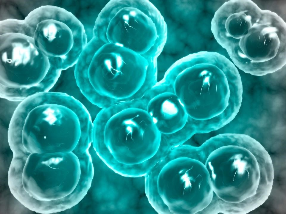 Tại sao một số phụ nữ lại có nguy cơ bị nhiễm nấm chalmydia cao hơn? - 2
Chlamydia là một trong những bệnh lây truyền qua đường tình dục phổ biến nhất ở Anh.