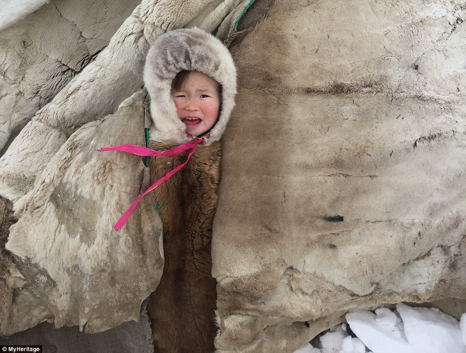 Một em bé bộ tộc người Nenets được trùm kín trong áo lông dày