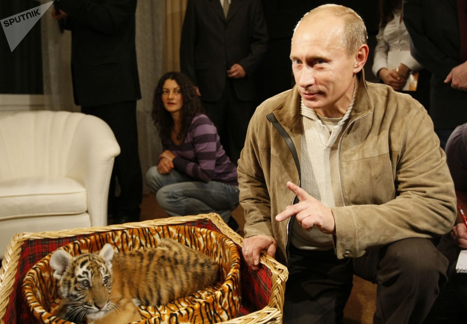 Tình yêu động vật của Tổng thống Putin - 11 Ông Putin giới thiệu với các phóng viên con hổ 2,5 tháng tuổi. Con hổ này là món quà sinh nhật của tổng thống Nga.