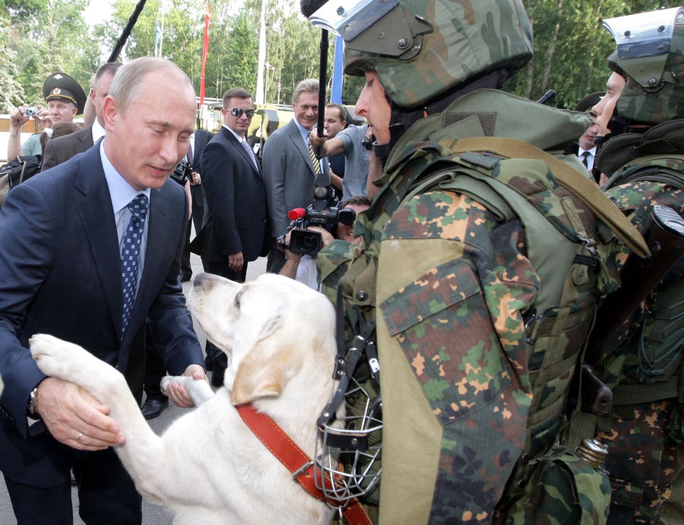 Tình yêu động vật của Tổng thống Putin - 4 Tổng thống Putin “bắt tay” một con chó khi tới thăm căn cứ của Đơn vị Tác chiến Độc lập ở gần thủ đô Moscow.