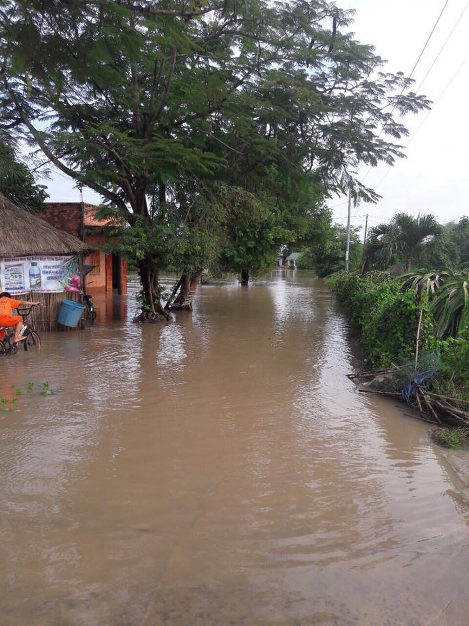 Mưa lớn, lũ về nhấn chìm hàng trăm hecta thanh long - 4 Tại khu vực xã Mương Mán, nước đang rút khá chậm
