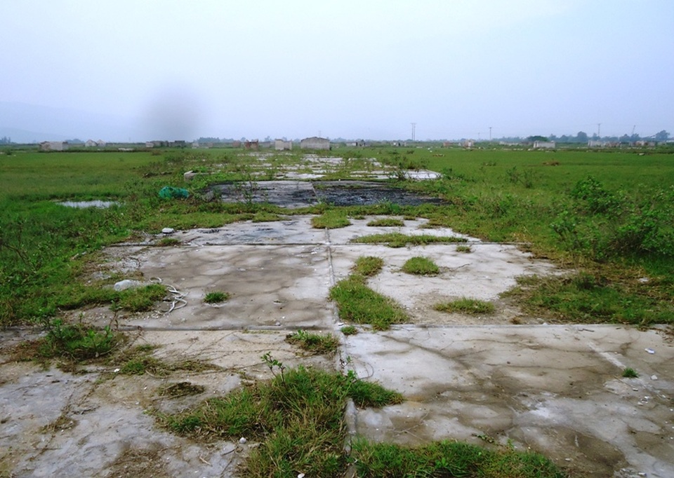 Diêm dân không còn lối thoát? - 3 Những cánh đồng muối giờ chỉ để chăn thả trâu bò, thả vịt, ở xã Hải Bình, huyện Tĩnh Gia