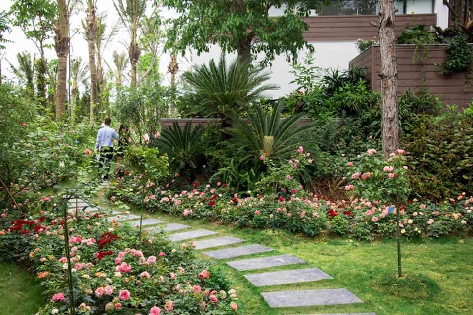 Bất động sản nghỉ dưỡng có thỏa mãn nhu cầu nghỉ dưỡng? - 2
Flamingo Lux Rose Kingdom – Vương quốc hoa hồng quý có tổng mức đầu tư lên đến 500 tỷ đồng