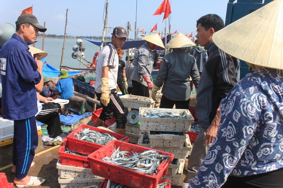 Lệnh cấm đánh bắt của Trung Quốc không có giá trị trong vùng biển chủ quyền Việt Nam - 1 Những ngày này, ngư dân Sầm Sơn, Thanh Hóa vẫn ra khơi đánh bắt thủy sản