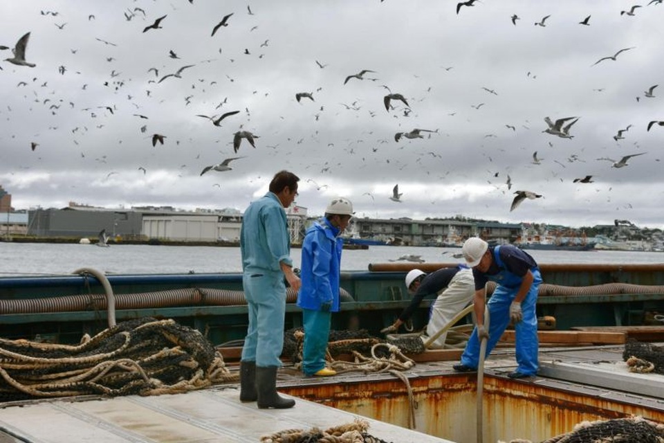 Sợ tên lửa Triều Tiên, ngư dân Nhật Bản chi tiền mua bảo hiểm tính mạng - 1 Ngư dân Nhật Bản (Ảnh: Reuters)