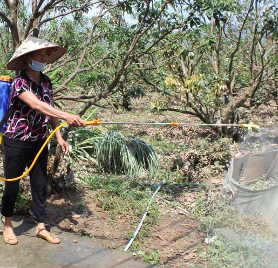 TP Bắc Giang có nhiều ca sốt xuất huyết nhất tỉnh - 1 người dân phun thuốc phòng chống dịch sốt xuất huyết tại vườn nhà
