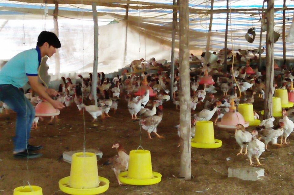 Chàng thanh niên lầm lỗi “viết” lại cuộc đời trên mảnh đất quê hương - 1 Nguyễn Văn Tuân với mô hình trang trại của mình