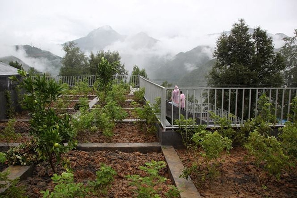 Những vườn cây xanh mướt trên mái nhà