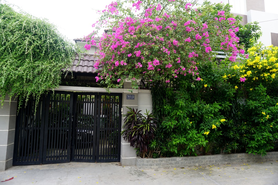 Cận cảnh chốn đi về bình yên "xanh mát" của ca sĩ Cao Thái Sơn - 1 Ngay từ khi bước vào cổng đã thấy được cảm giác dễ chịu bởi hàng hoa giấy màu đỏ thắm đan xen hoa vàng tạo cảm giác thư thái.