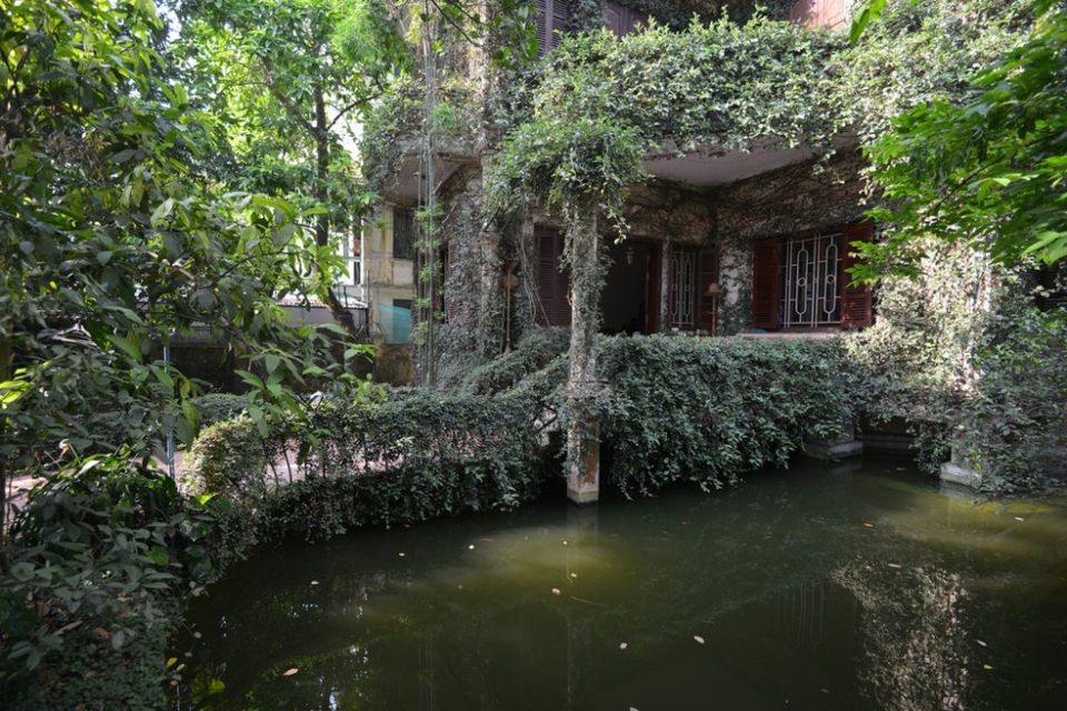 Độc đáo những ngôi nhà phủ kín dây leo giữa Hà Nội - 10 Nằm sát sông Hồng thuộc phường Ngọc Thụy (Long Biên, Hà Nội), có một ngôi nhà đặc biệt khiến bất cứ ai đi qua cũng phải ngoái nhìn. Ngôi nhà này được bao kín bởi nhiều loại cây xanh, dây leo mọc chằng chịt ngay từ cổng. Chủ nhân ngôi nhà, ông Nguyễn Thiện Hùng cho biết đã xây dựng ngôi nhà này từ năm 2000 với tổng chi phí hết khoảng 300 triệu đồng. Hai năm sau đó ông mới bắt đầu trồng dây leo và các loại cây xung quanh.