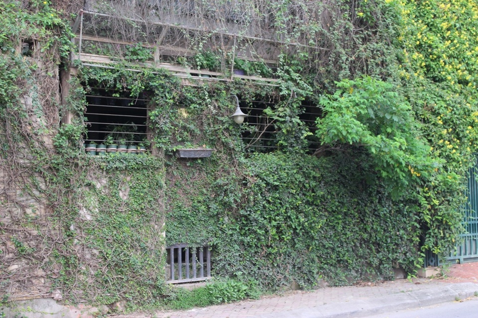 Độc đáo những ngôi nhà phủ kín dây leo giữa Hà Nội - 5 Nằm ở ven đường Hồ Tây, ngôi nhà này được phủ kín bởi cây xanh và hàng trăm chậu hoa sắc màu khiến nhiều người đi qua không khỏi thích thú. Ngôi nhà được phủ đầy chậu cây, tạo sự bí hiểm tò mò cho mọi người. Không ai đếm được có bao nhiêu chậu cây được treo trên đó.