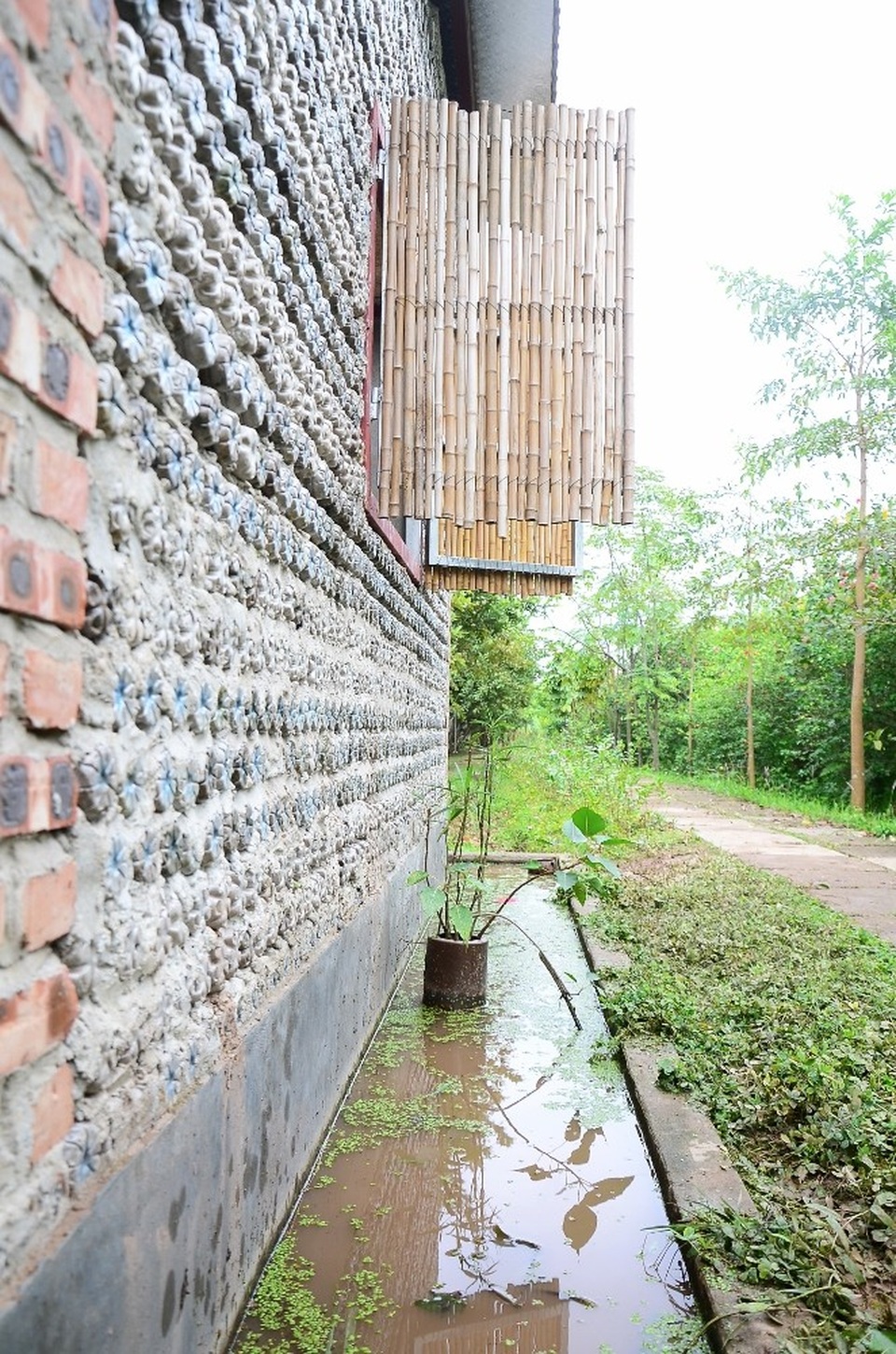 Xung quanh nhà là những lạch nước nhỏ và đa dạng các loại cây cối để tạo được không gian thoáng mát, gần gũi với tự nhiên.