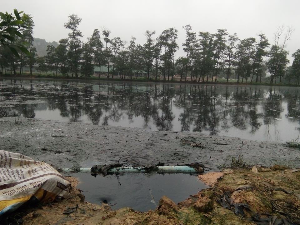 Hàng trăm hộ dân bị nhà máy tinh bột sắn "tra tấn" - 5 Thứ nước thải được cơ quan chức năng đánh giá là không vượt mức ô nhiễm