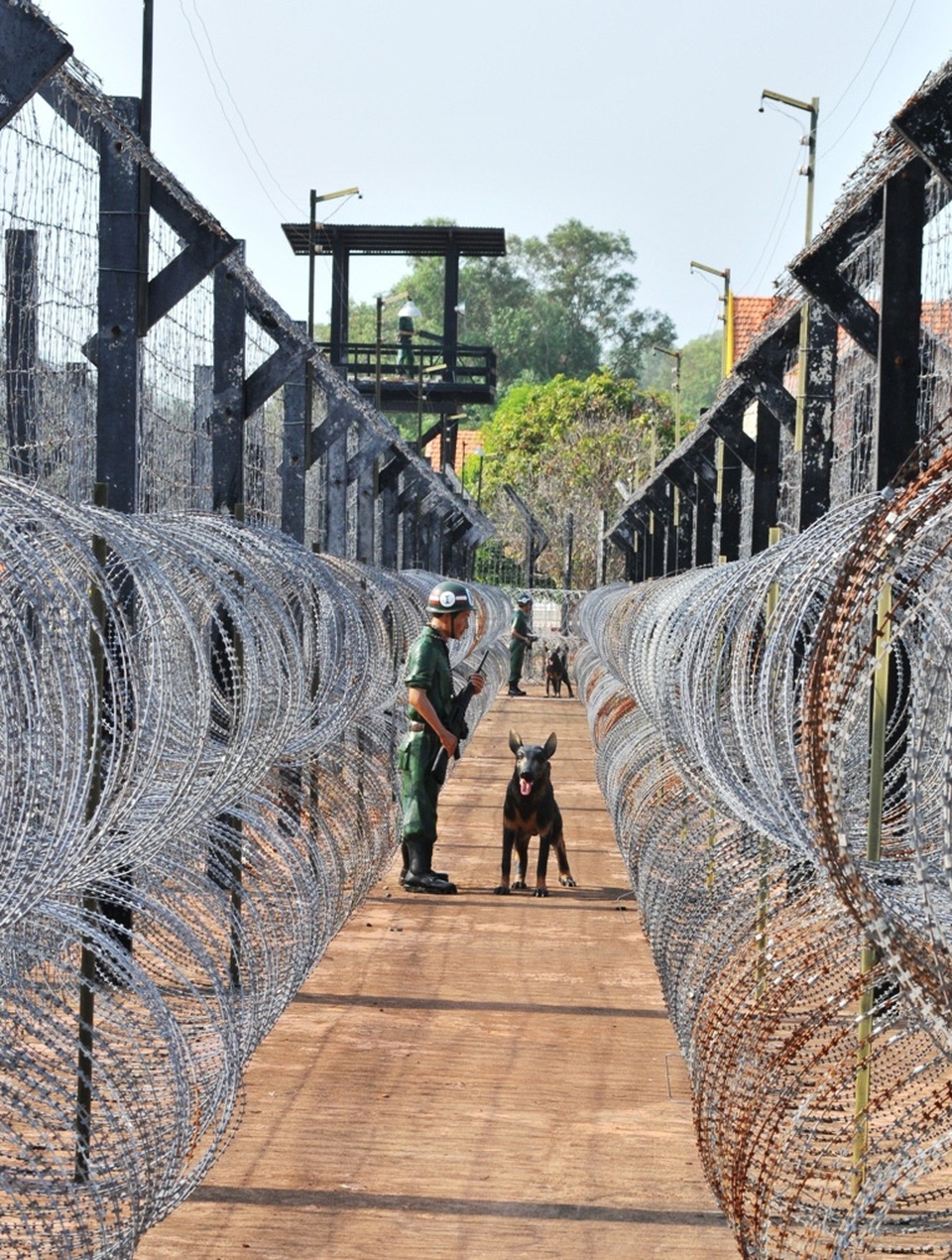 Từ cựu tù Phú Quốc tay không phá kẽm gai vượt ngục đến nông dân sản xuất giỏi - 1 
Nhà tù Phú Quốc không có tường cao nhưng được xây dựng, bao quanh bằng nhiều lớp kẽm gai thế này và luôn có lính và chó nghiệp vụ canh gác nghiêm ngặt