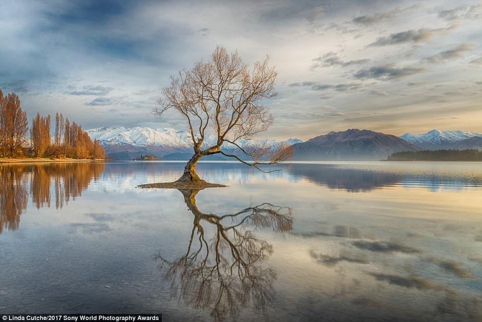 Cảnh hồ Wanaka, New Zealand. (Giải ba National Awards, tay máy người New Zealand)
