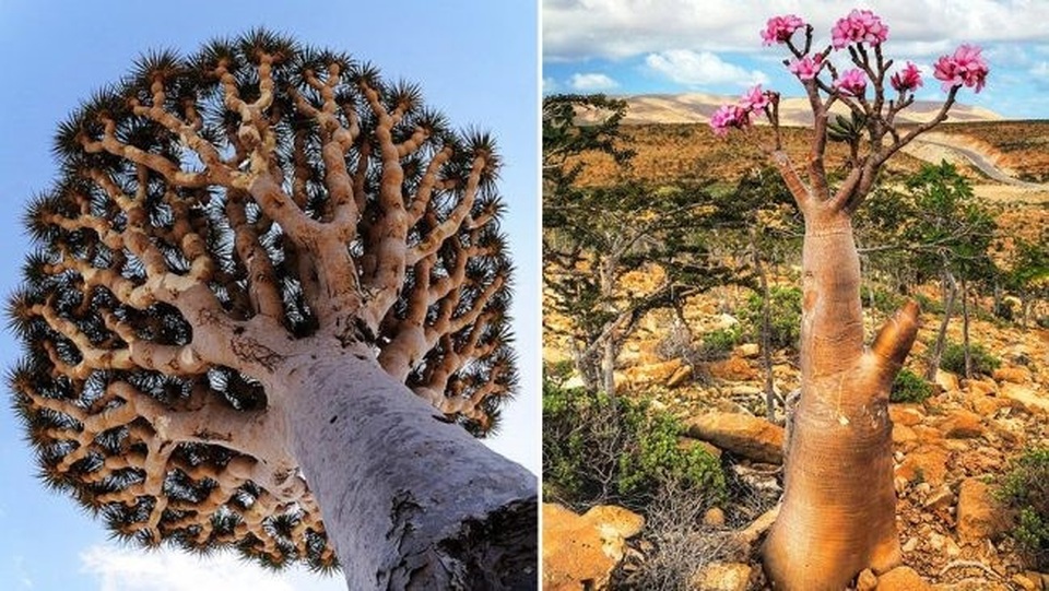 Khám phá những điểm đến cực kỳ thú vị trên thế giới - 7