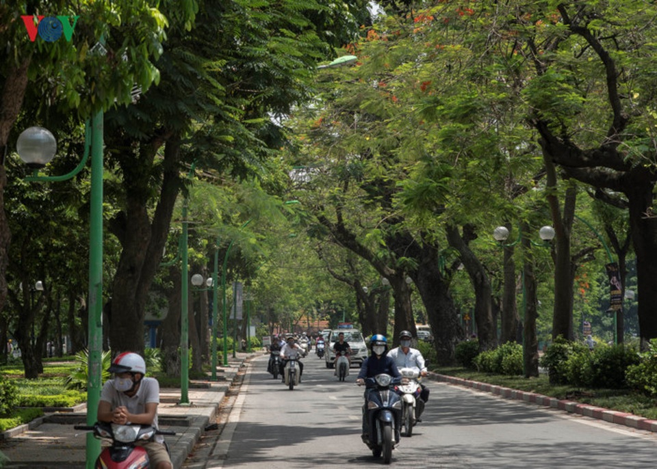 Đường Thanh Niên, tên cũ là Cổ Ngư ngăn cách hồ Tây và hồ Trúc Bạch nơi có hàng Phượng Vĩ ra hoa sặc sỡ sắc đỏ khi hè đến.