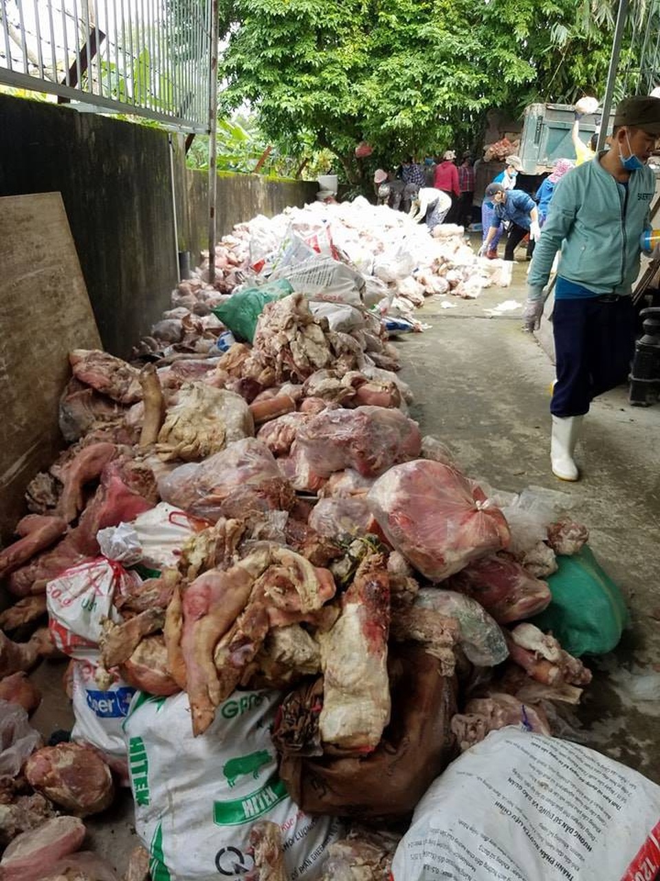 Số nội tạng, xương, chân, đuôi, móng cũng như nhiều bộ phận khác của lợn, bò xếp thành đống bốc mùi hôi thối