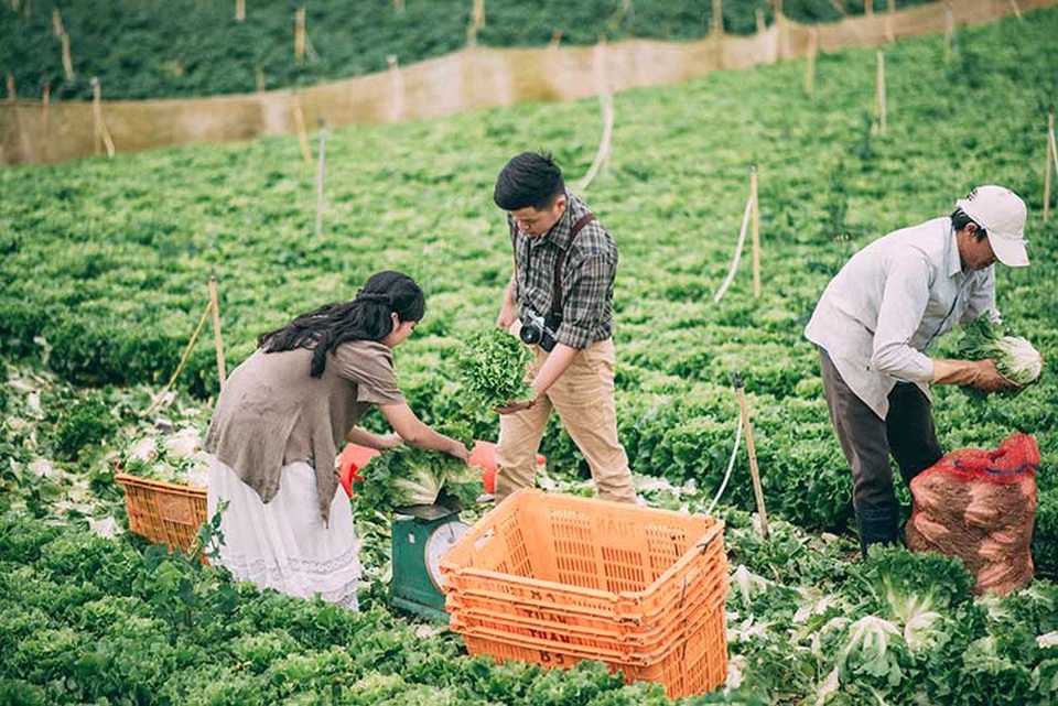 Ảnh cưới giản dị tại vườn rau sạch của cặp đôi mơ về cuộc sống bình yên - 6
Minh Cường chia sẻ: “Chỉ sợ cô ấy từ chối thôi, lúc đó mình rất run và nói ngắn gọn là làm bạn gái mình nha. Khi chưa nhận được cái gật đầu từ cô ấy thì mình đã mặc định là cô ấy đã chấp nhận, thế là bên nhau”.