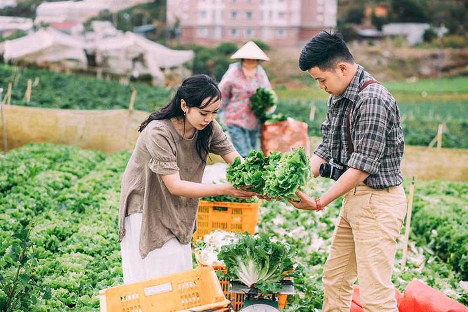 Ảnh cưới giản dị tại vườn rau sạch của cặp đôi mơ về cuộc sống bình yên - 8
Khi đã đủ chín chắn, cặp đôi cùng quyết định về chung một nhà để mai này cùng nắm tay nhau vượt qua khó khăn, thử thách để hướng đến hạnh phúc.