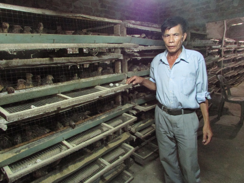 Lão nông nuôi chim cút, bỏ túi 10 triệu đồng/tháng - 1 Ông Nông giới thiệu trại chim cút của mình