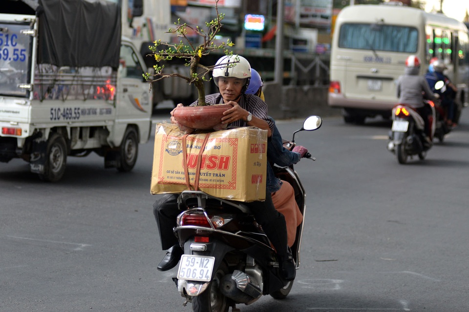 Người đàn ông ngồi khá mạo hiểm vì phải giữ chậu mai mang từ thành phố về quê trưng Tết.