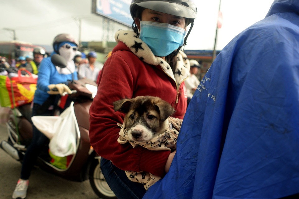 Người dân mang vác nhiều quà cáp, đồ về biếu người thân. Chị Hà và chồng về quê sau ngày làm việc, chị phải mang theo con chó về vì nhà không có ai trông.