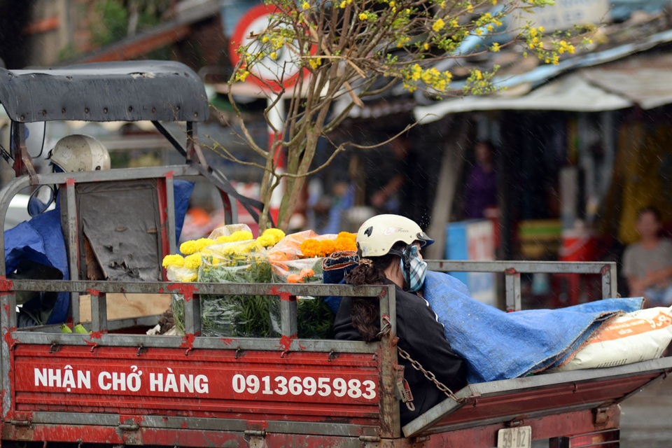 Người phụ nữ dùng tấm bạt để che khi đi mua hoa về trưng Tết.