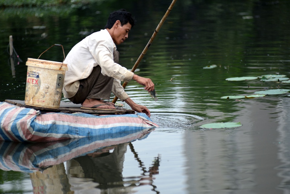 Bắt ốc, đánh cá... ở xóm miền Tây giữa lòng Sài Gòn - 5 Đôi khi may mắn thì có mớ cá rô về kho ăn được mấy ngày, nhưng nhiều bữa không bắt được cá thì phải đi hái mớ rau dại về luộc lên ăn với cơm. Anh Qúy, quê Cà Mau chia sẻ.