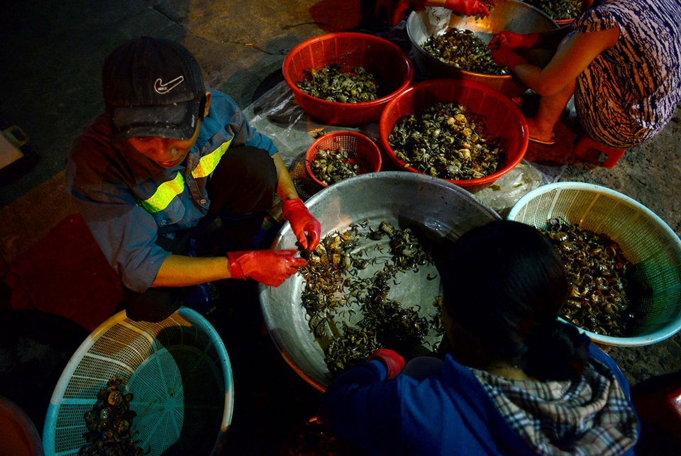 Chợ cua "âm phủ" có tuổi đời gần nửa thế kỷ ở Sài Gòn - 5 Những con cua yếu, gãy càng sẽ được sơ chế qua, bán cho các quán ăn nhỏ, bún riêu vỉa hè.