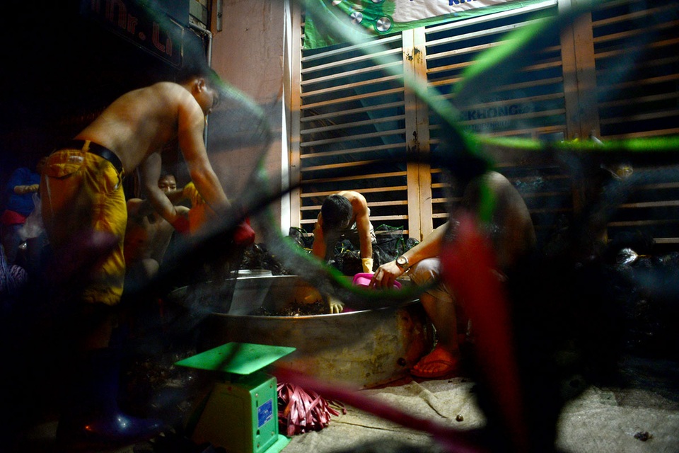 Chợ cua "âm phủ" có tuổi đời gần nửa thế kỷ ở Sài Gòn - 9 Các vựa phân loại ít thì vài chục bao, nhiều thì cả trăm bao cua mỗi đêm.